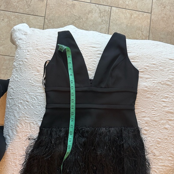 BCBGMaxAzria Black Feathered Gown - Picture 5 of 7